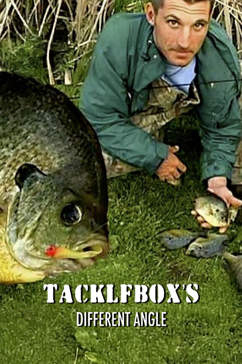Tacklebox's Different Angle
