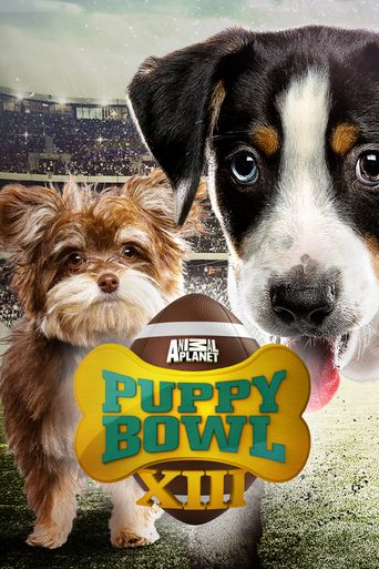  Puppy Bowl XIII Poster