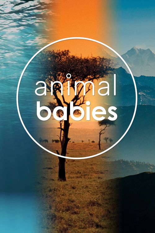 Animal Babies Season 1 Poster