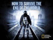  How to Survive the End of the World Poster