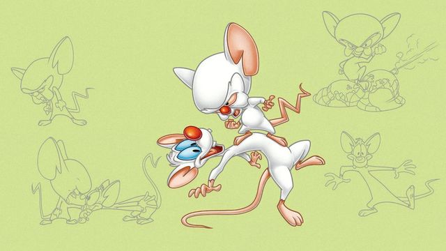 Pinky and the Brain Backdrop