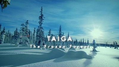 Season 01, Episode 02 Taiga: The Frozen Forests