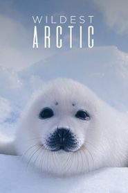  Wildest Arctic Poster