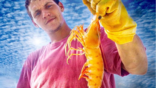 Big Shrimpin' Backdrop