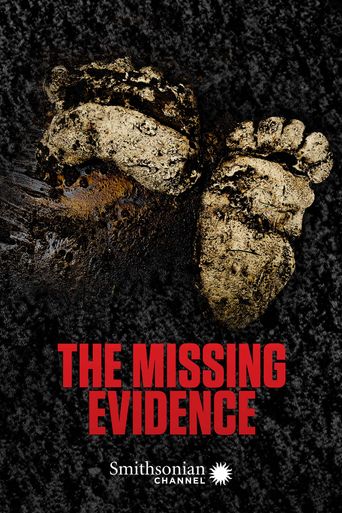  The Missing Evidence Poster