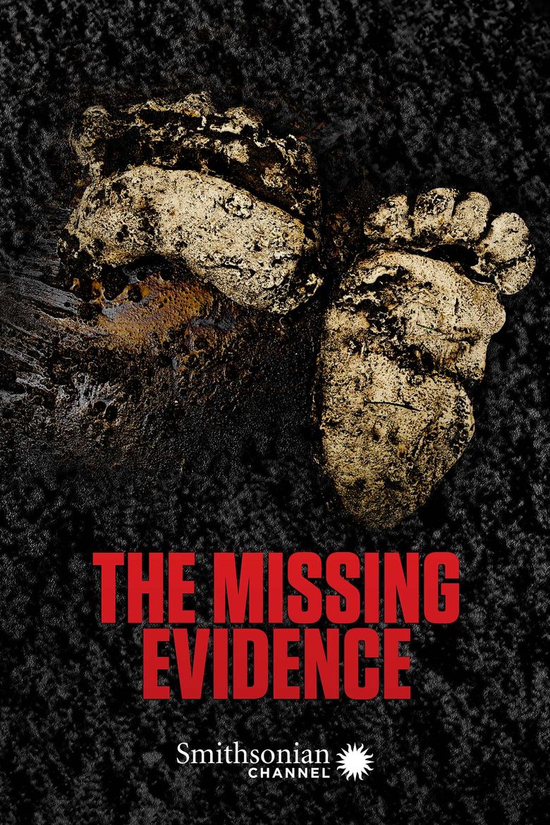 The Missing Evidence Poster