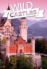  Wild Castles Poster