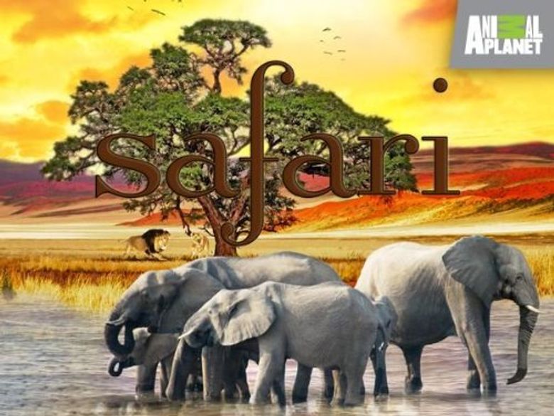 Safari: An Extraordinary Adventure