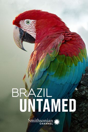 Brazil Untamed Poster