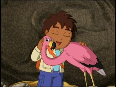 Season 06, Episode 05 A New Flamingo Mommy
