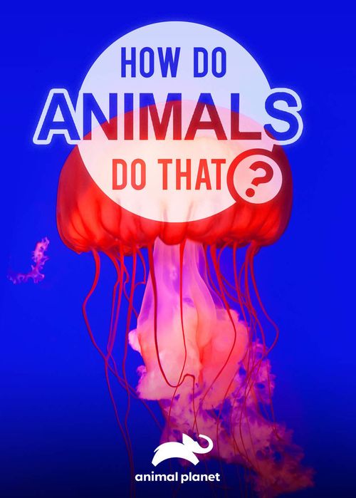 How Do Animals Do That? Season 1: Where To Watch Every Episode | Reelgood