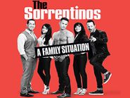  The Sorrentinos Poster