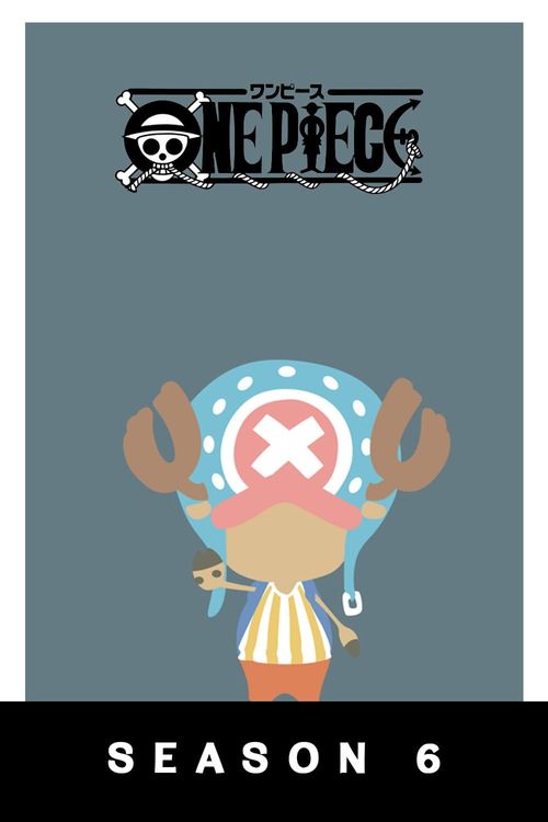 One Piece Season 6 Poster