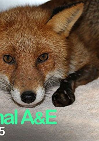 Animal A&E: Animal Rescue Poster