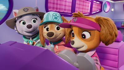 Season 11, Episode 25 Skye's Road Trip Rescue