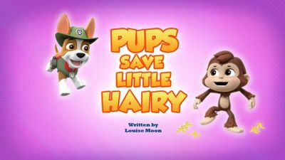 Season 07, Episode 90 Pups Save Little Hairy