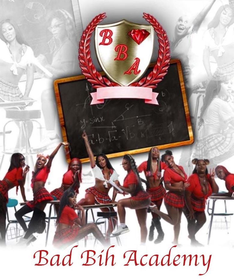 Bad Bih Academy