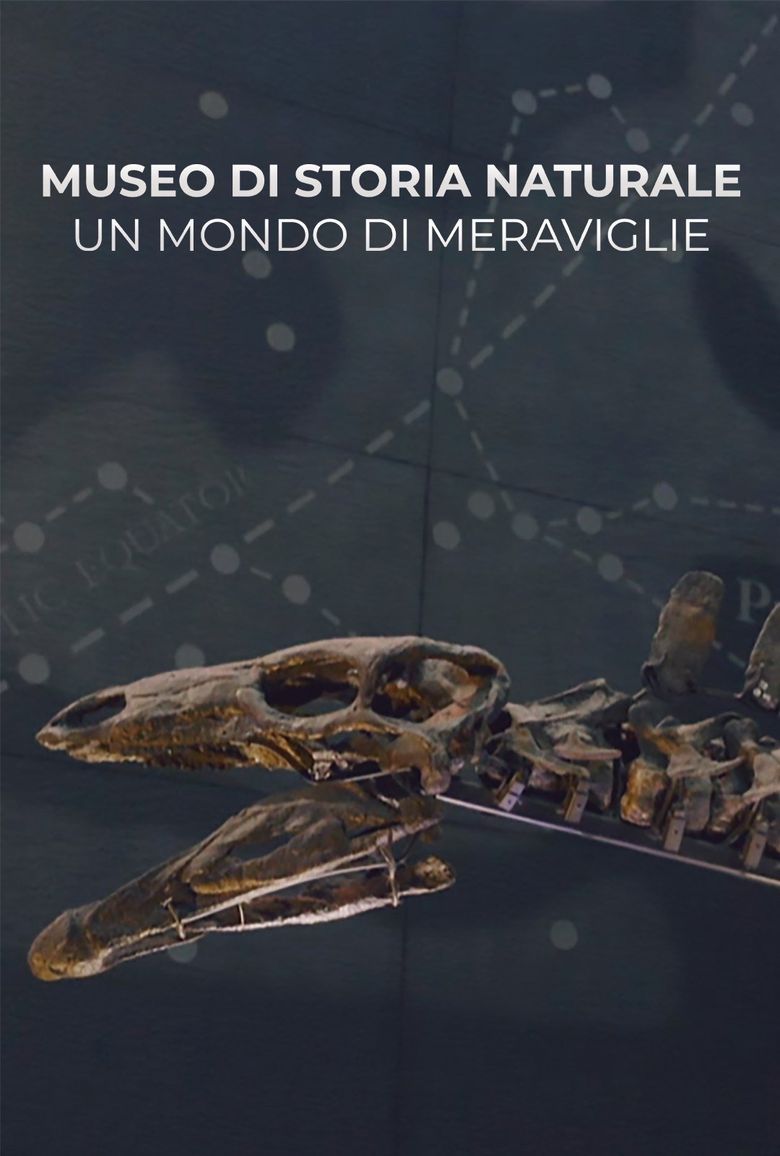 Natural History Museum: World of Wonder