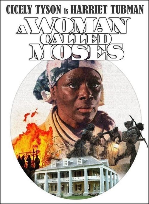 A Woman Called Moses Poster