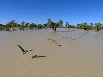 Season 2010, Episode 10 Lake Eyre - Australia's Outback Wonder