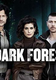  Dark Forest Poster
