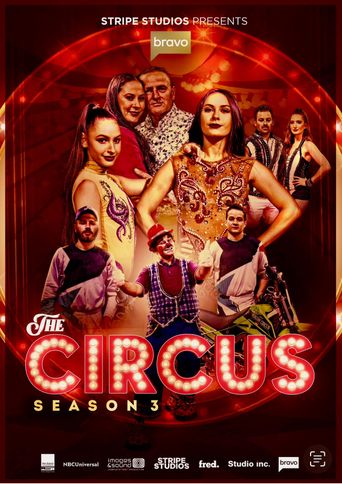  The Circus Poster