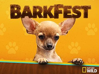  BarkFest Poster