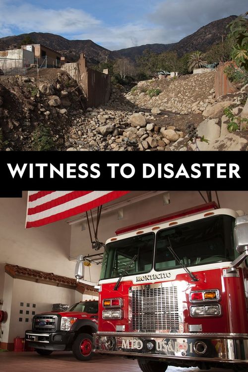 Witness to Disaster Poster