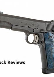  Review: Gun Stock Reviews Poster