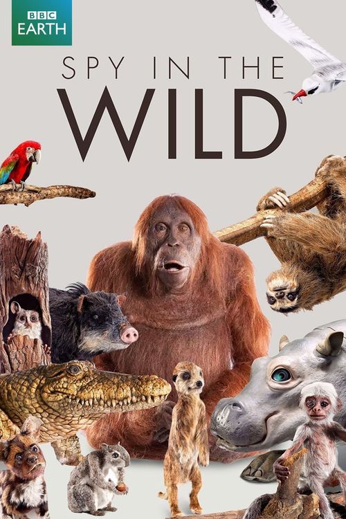Spy in the Wild Poster