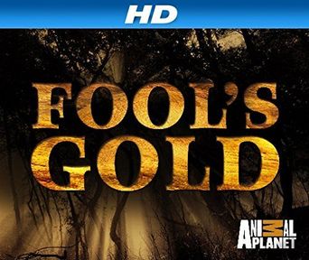 Fool's Gold Poster