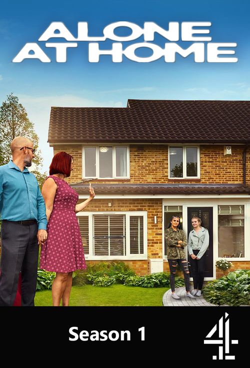 Alone at Home Poster
