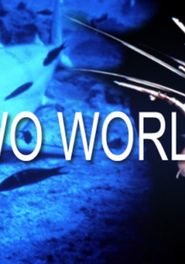  Two Worlds Poster