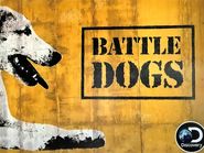  Battle Dogs Poster