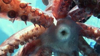 Season 01, Episode 03 Episode 3