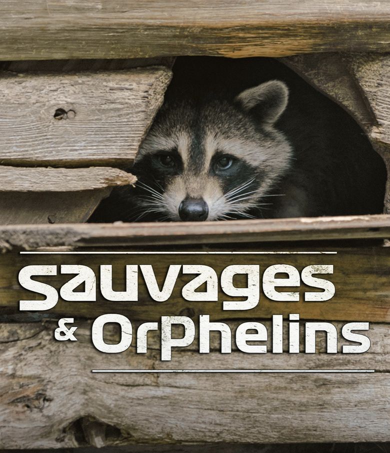 Sauvage et orphelin