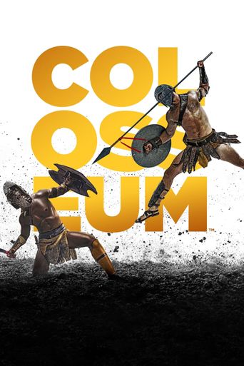  Colosseum Poster