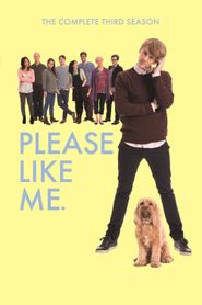 Please Like Me Season 3 Poster