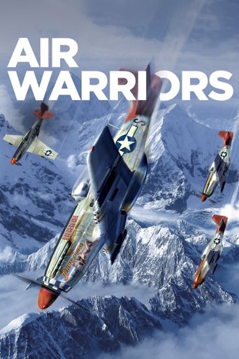  Air Warriors Poster