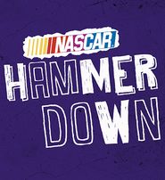  NASCAR Hammer Down Poster