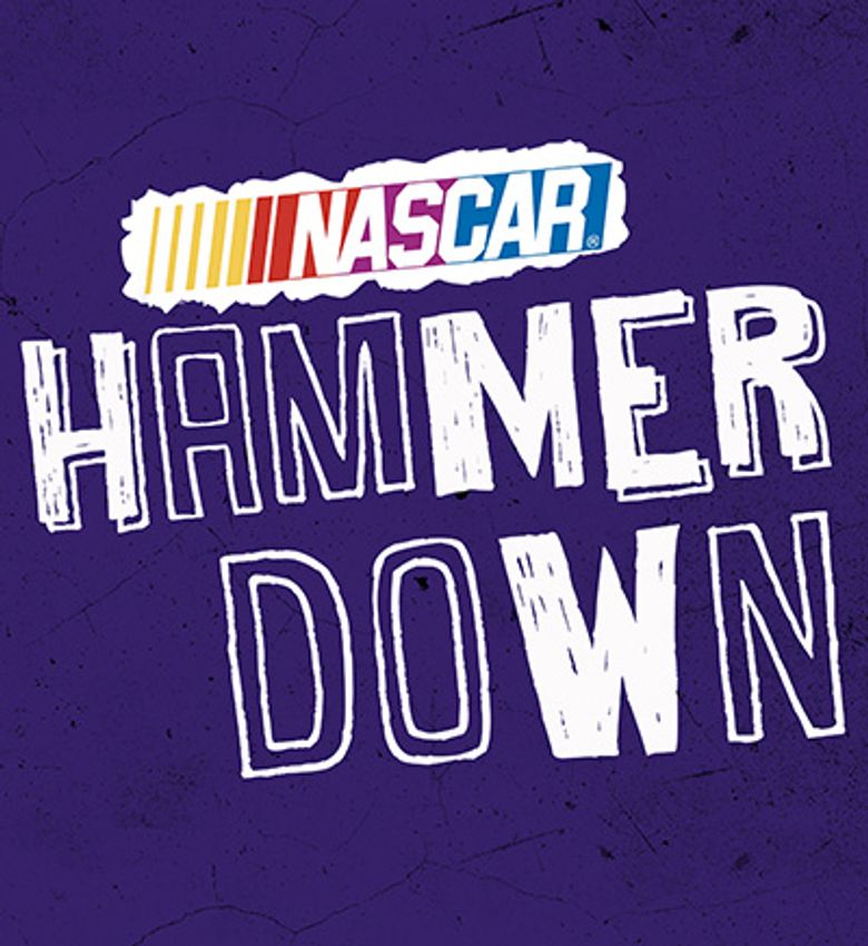 NASCAR Hammer Down
