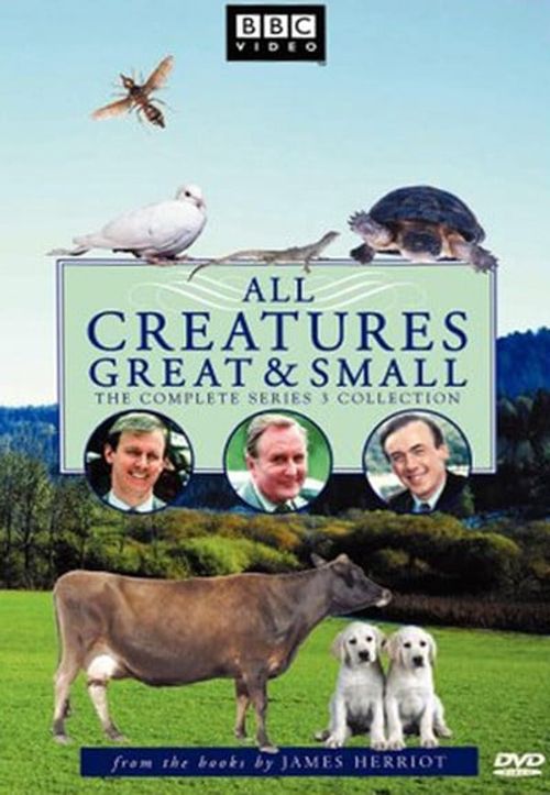 All Creatures Great and Small (TV Series 2020– ) - IMDb