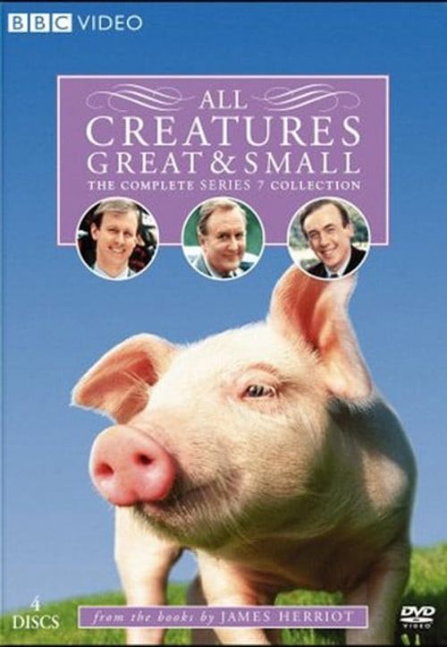 All Creatures Great and Small Season 7 Poster