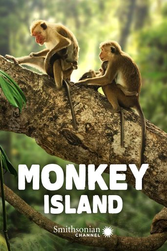  Monkey Island Poster