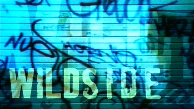 Wildside Backdrop