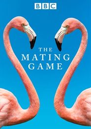  The Mating Game Poster