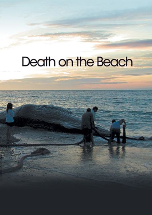 Death on the Beach Poster