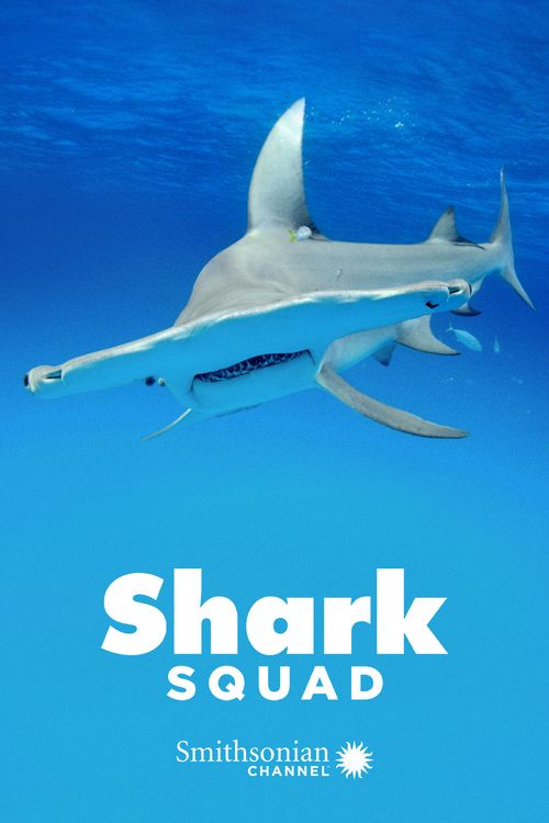 Shark Squad Poster