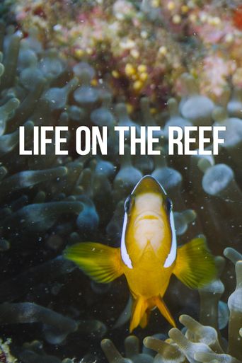  Life on the Reef Poster