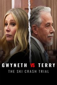  Gwyneth vs Terry: The Ski Crash Trial Poster
